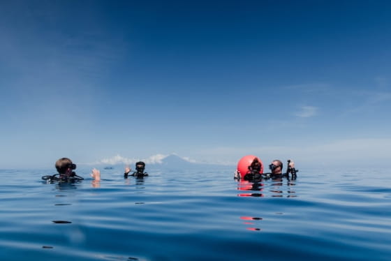 海中のダイバーたちの画像