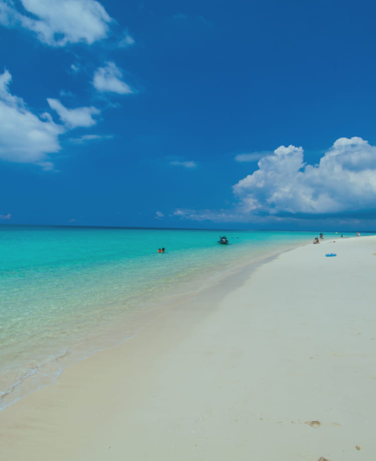 砂浜の画像