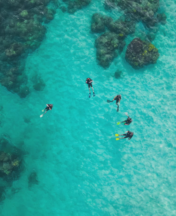 海に浮かぶダイバーたちの画像