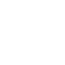Whale Icon